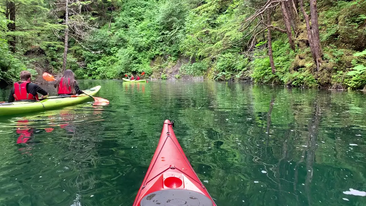 Kayakers paddling a calm, narrow gorge surrounded by Tongass rainforest near Sitka, Alaska